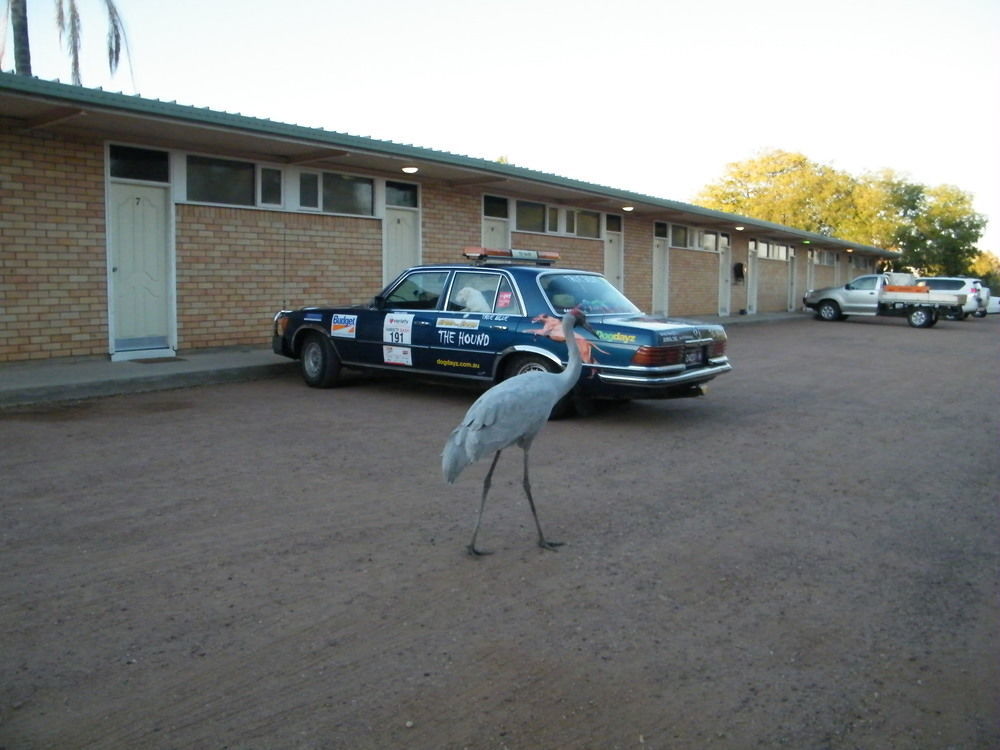 Jumbuck Motor Inn - Pool - Pet Friendly Section - King Beds Longreach Exterior photo